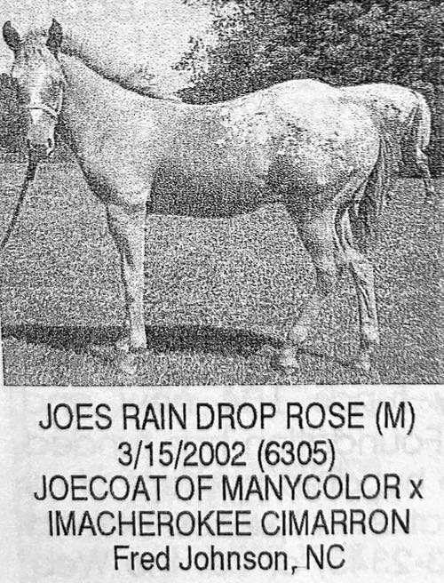 joes rain drop rose