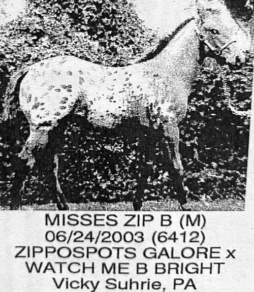 misses zip b