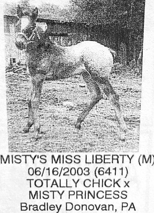 mistys miss libert