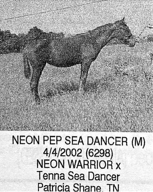 neon pep sea dancer