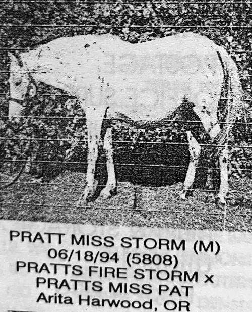 pratt miss storm