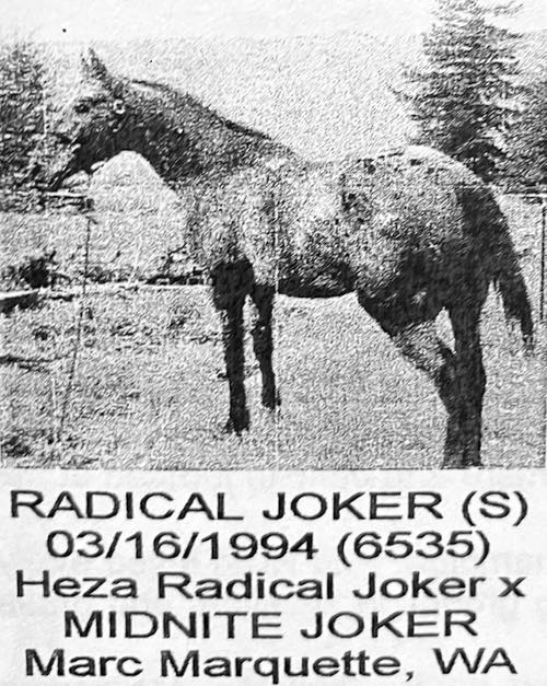 radical joker