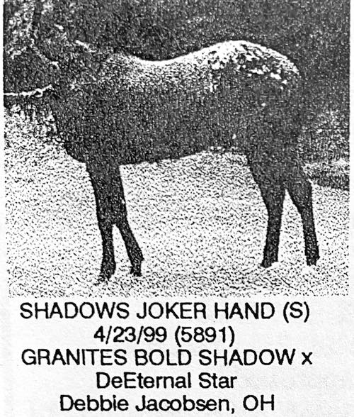 shadowsjokerhand5891