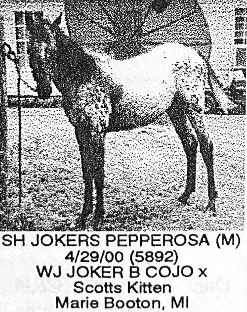 sh jokers pepperosa