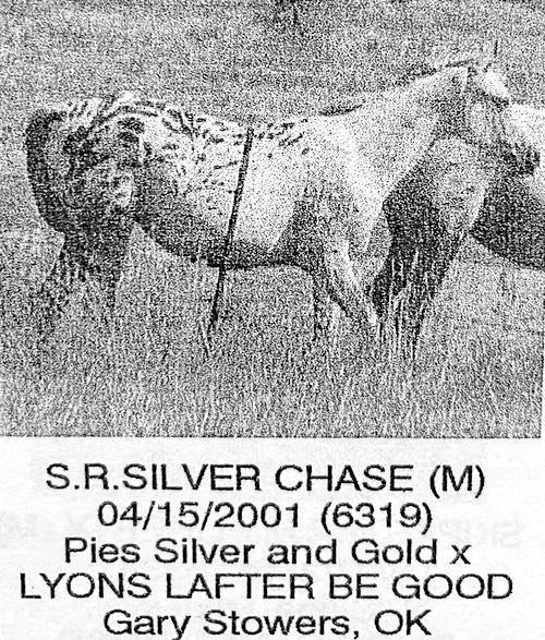 sr silver chase