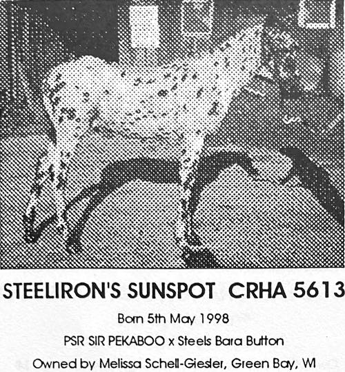 steelironssunspot5613