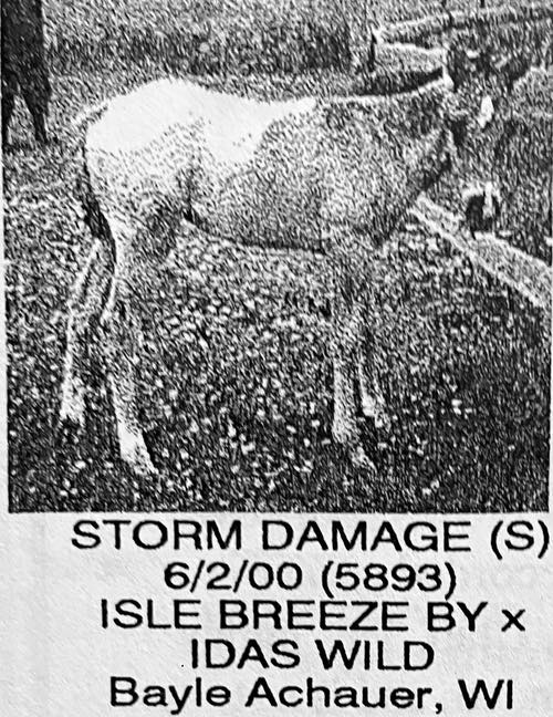 stormdamage5893