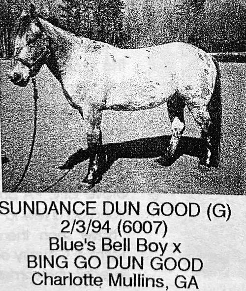 sundance dun good