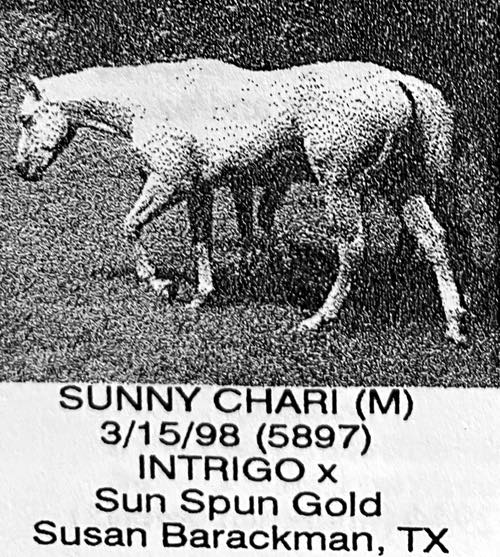 storm damage/sunny chari