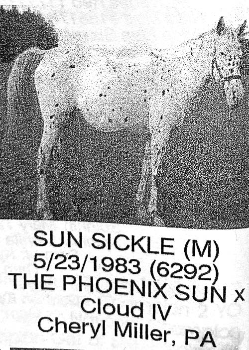 sun sickle