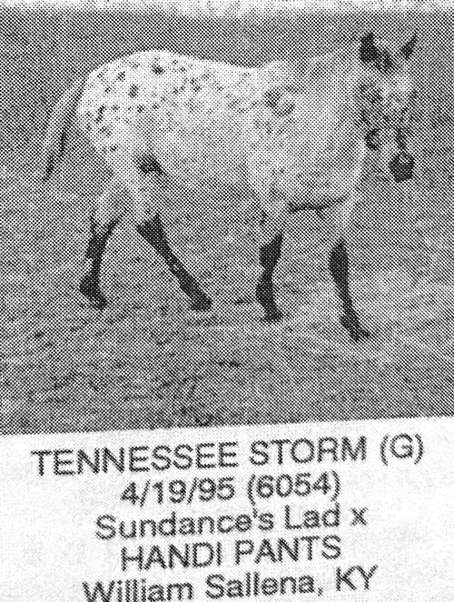 tennessee storm