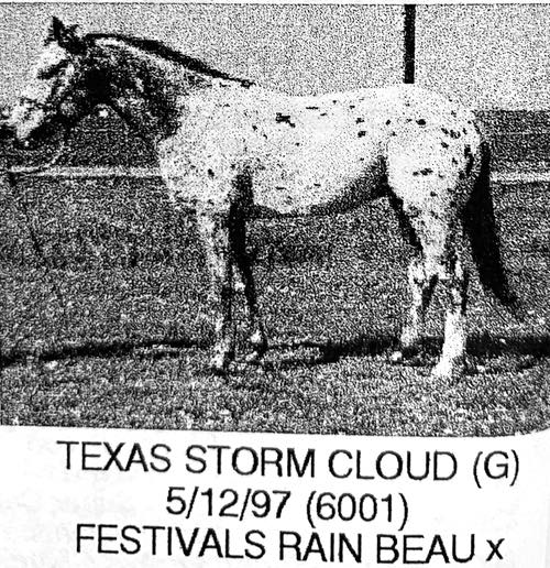 texas storm cloud