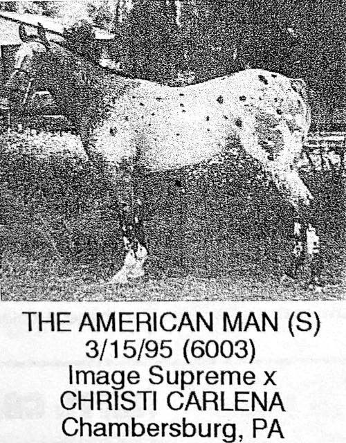 the amrican man