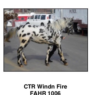 CTREarthWindnFire