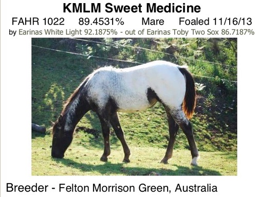 KMLMSweetMedicine