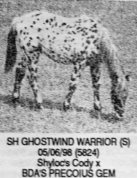 SHGhostwindWarrior