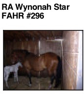 RAWynonahStar2