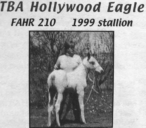 TBAHollywoodEagle