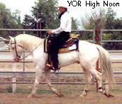 YORHighNoon