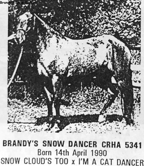 BrandysSnowDancer