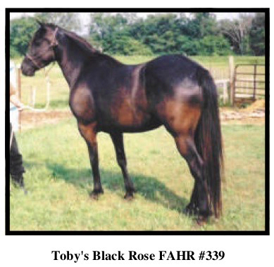 TobysBlackRose