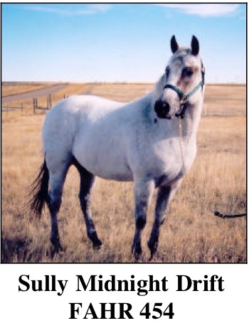 SullyMidnightDrift