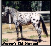 MessersKidDiamond2