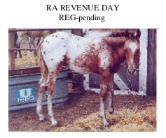 RARevenueDay