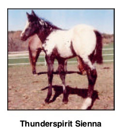 ThunderspiritSienna