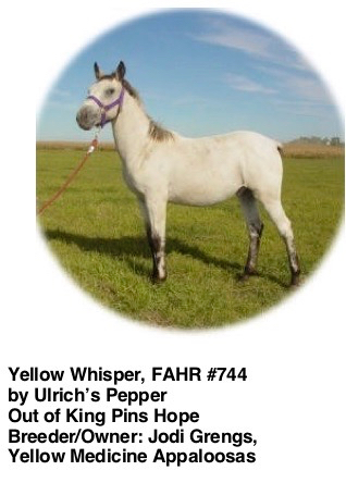 YellowWhisper