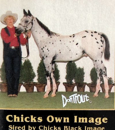 chicks own image