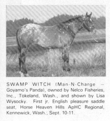 swampwitch