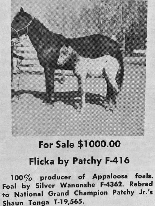 flicka x patchy f416