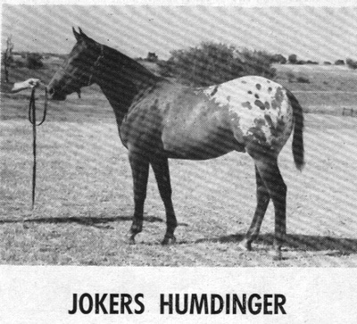 jokershumdinger2