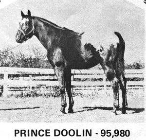 prince doolin