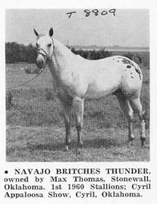 navajobritchesthunder
