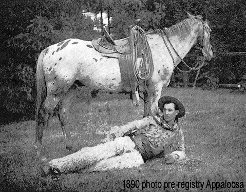 1890cowboy