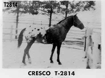 crescot2814