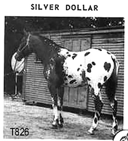 silverdollart826