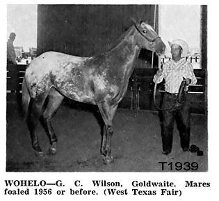 wohelot1939b