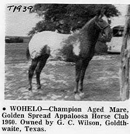 wohelot1939c
