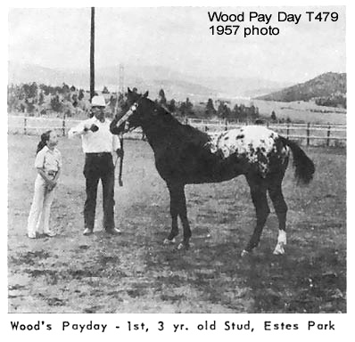 woodpaydayt479