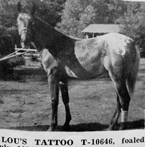 lous tatoo