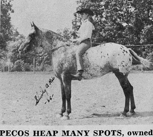 pecos heap many spots