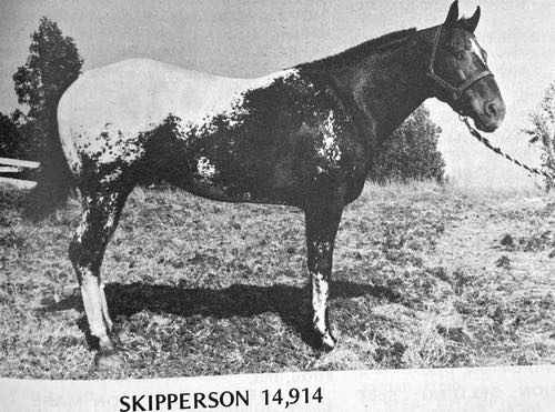 Skipperson