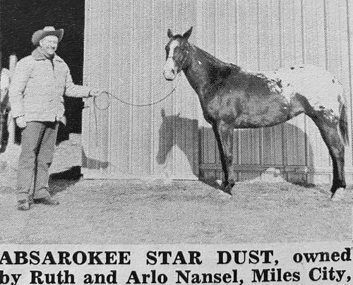 absaroke star dust