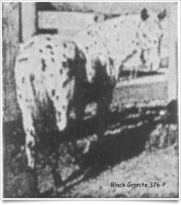 Black Granite2