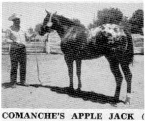 ComanchesAppleJack2
