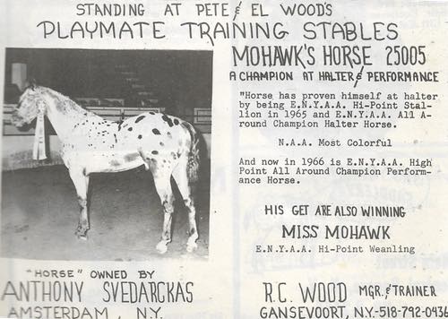 MohawksHorse