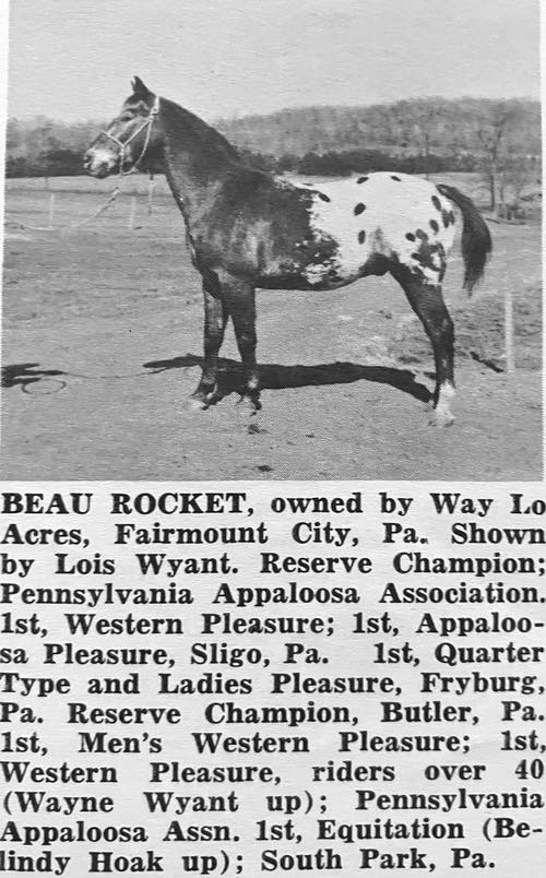 beau rocket